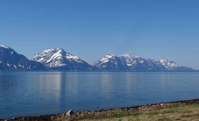 Lyngseidet