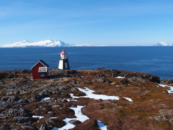 Lyngstua