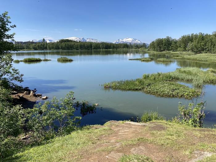 Prestvannet